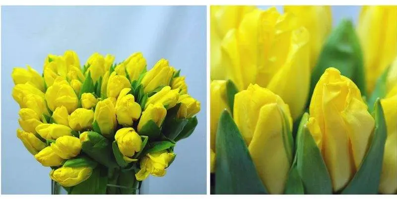 Аграсс Голд